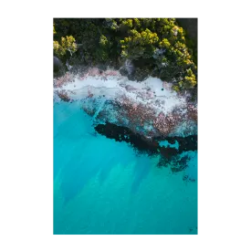Afternoon Shade, Dunsborough , By Maddison Harris