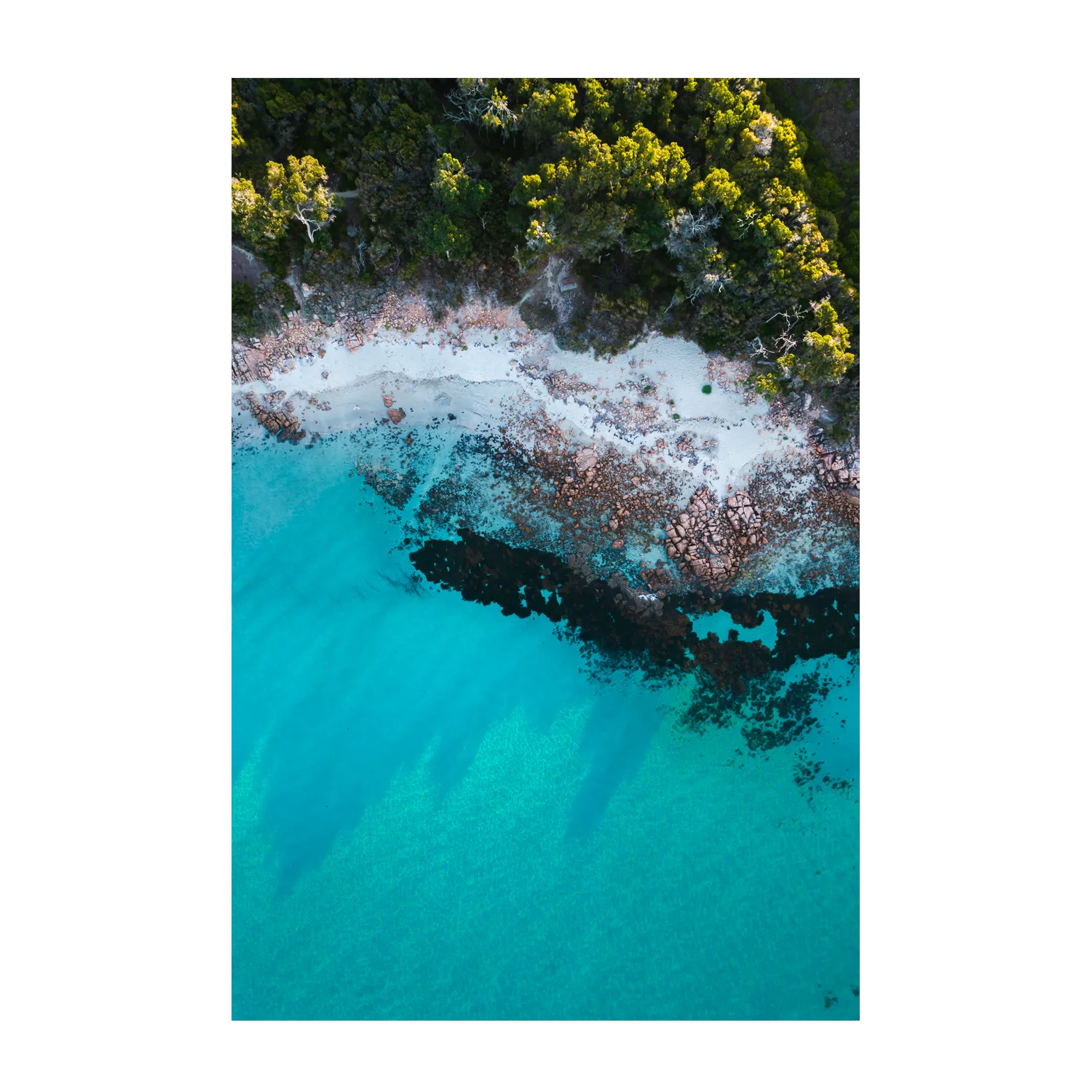 Afternoon Shade, Dunsborough , By Maddison Harris