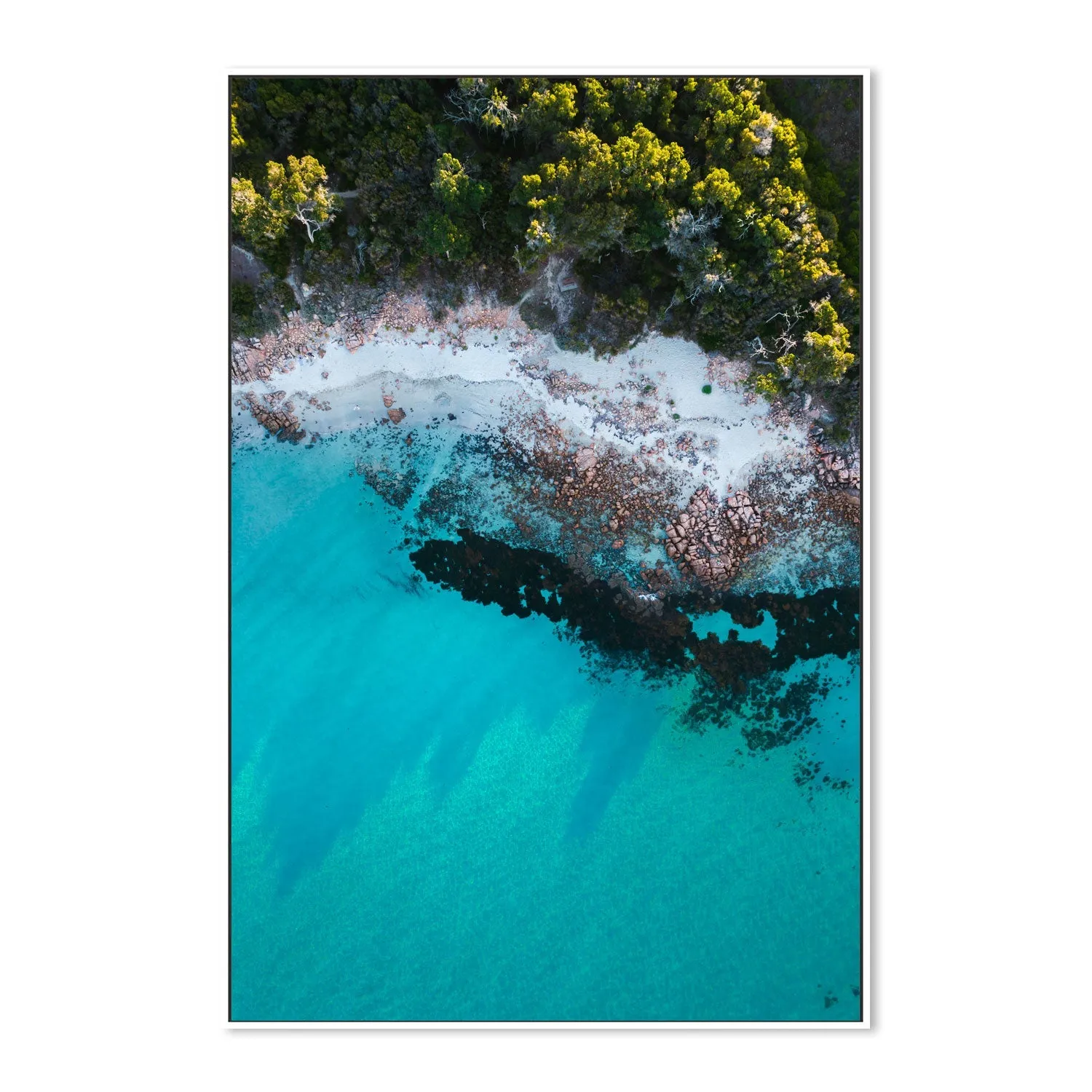 Afternoon Shade, Dunsborough , By Maddison Harris
