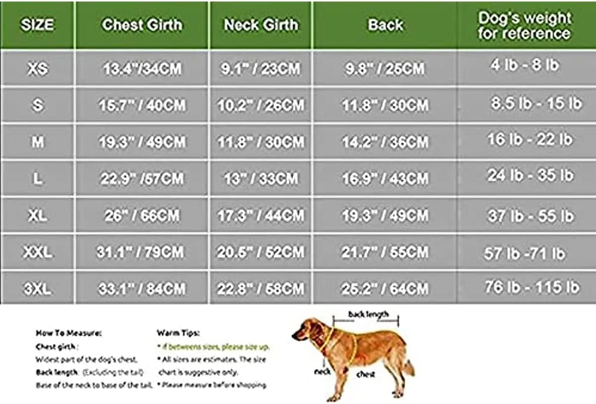 American Flag Popsicle 4th of July Funny Graphic Puppy Clothes Memorial Day, Independence Day, Holiday Dog Clothes for Small Dogs Boy Girl, Pet Cat Outfit (X-Small, Heart-Flag)