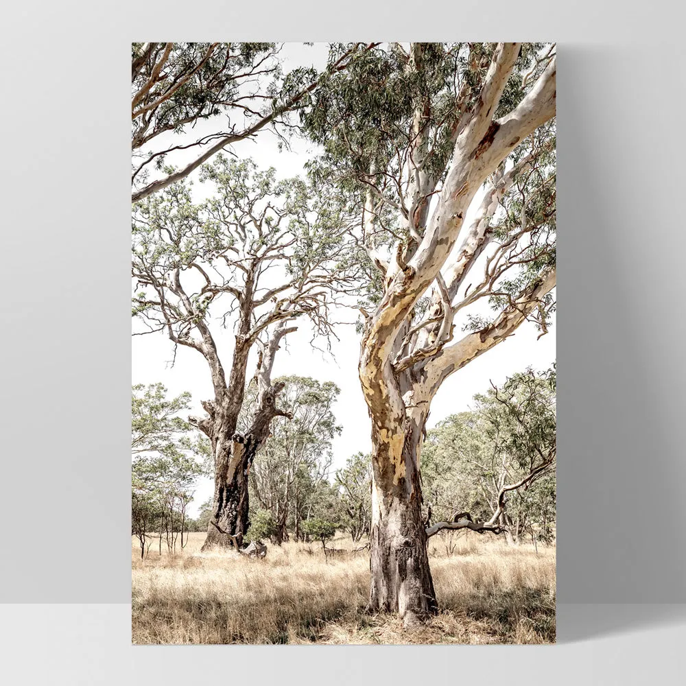 Among the Gumtrees III - Art Print