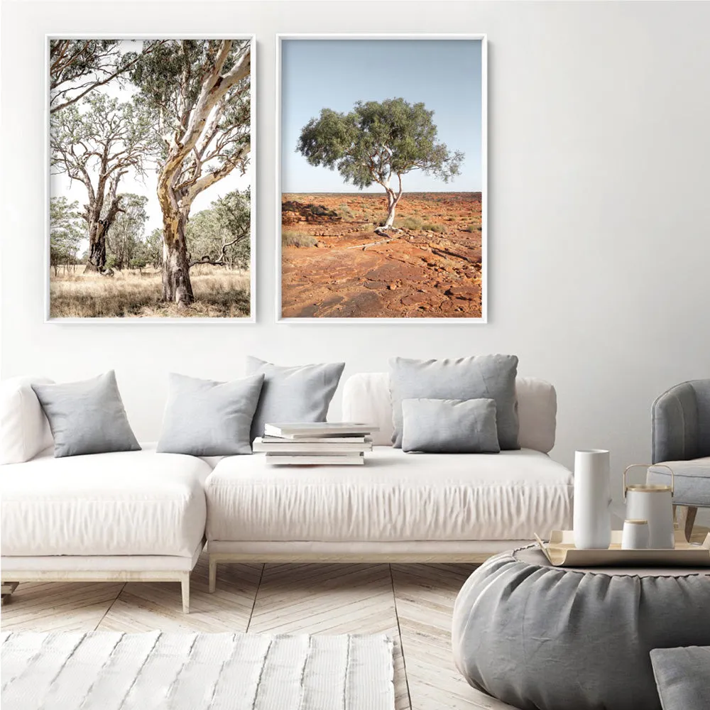 Among the Gumtrees III - Art Print