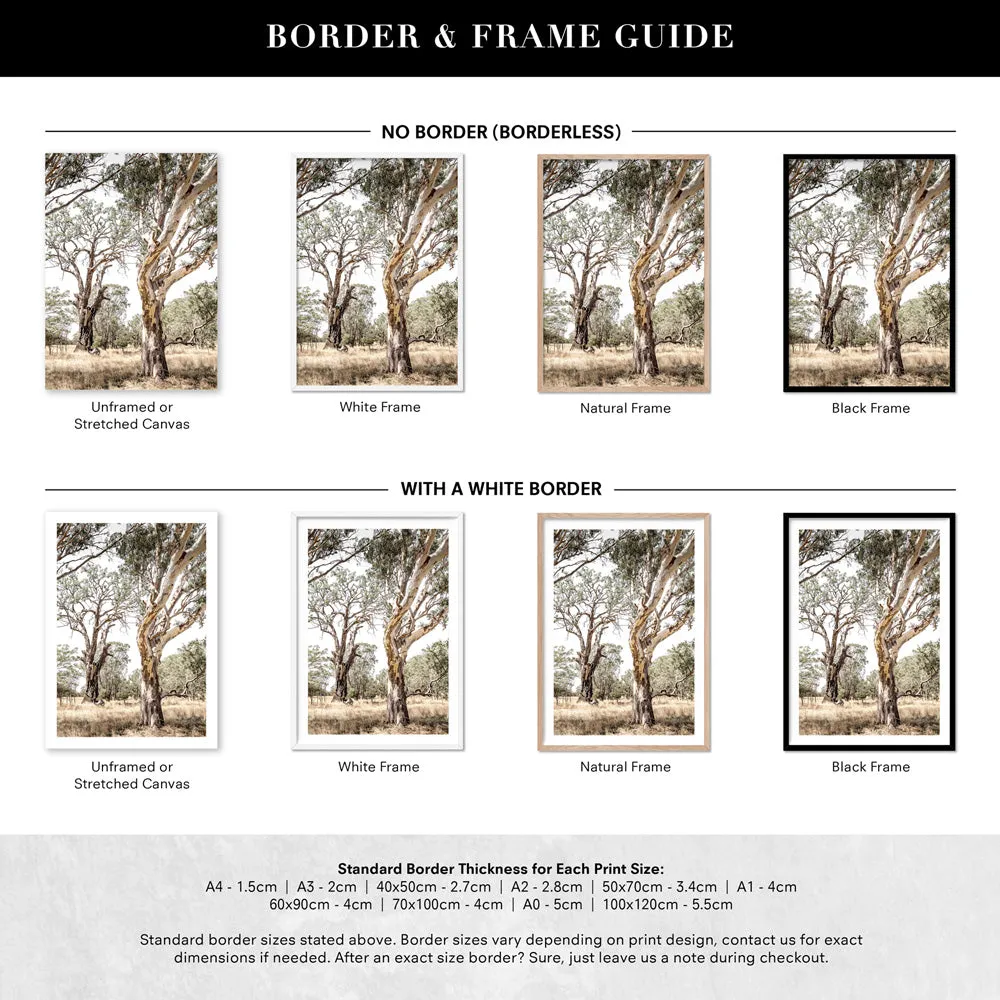 Among the Gumtrees III - Art Print