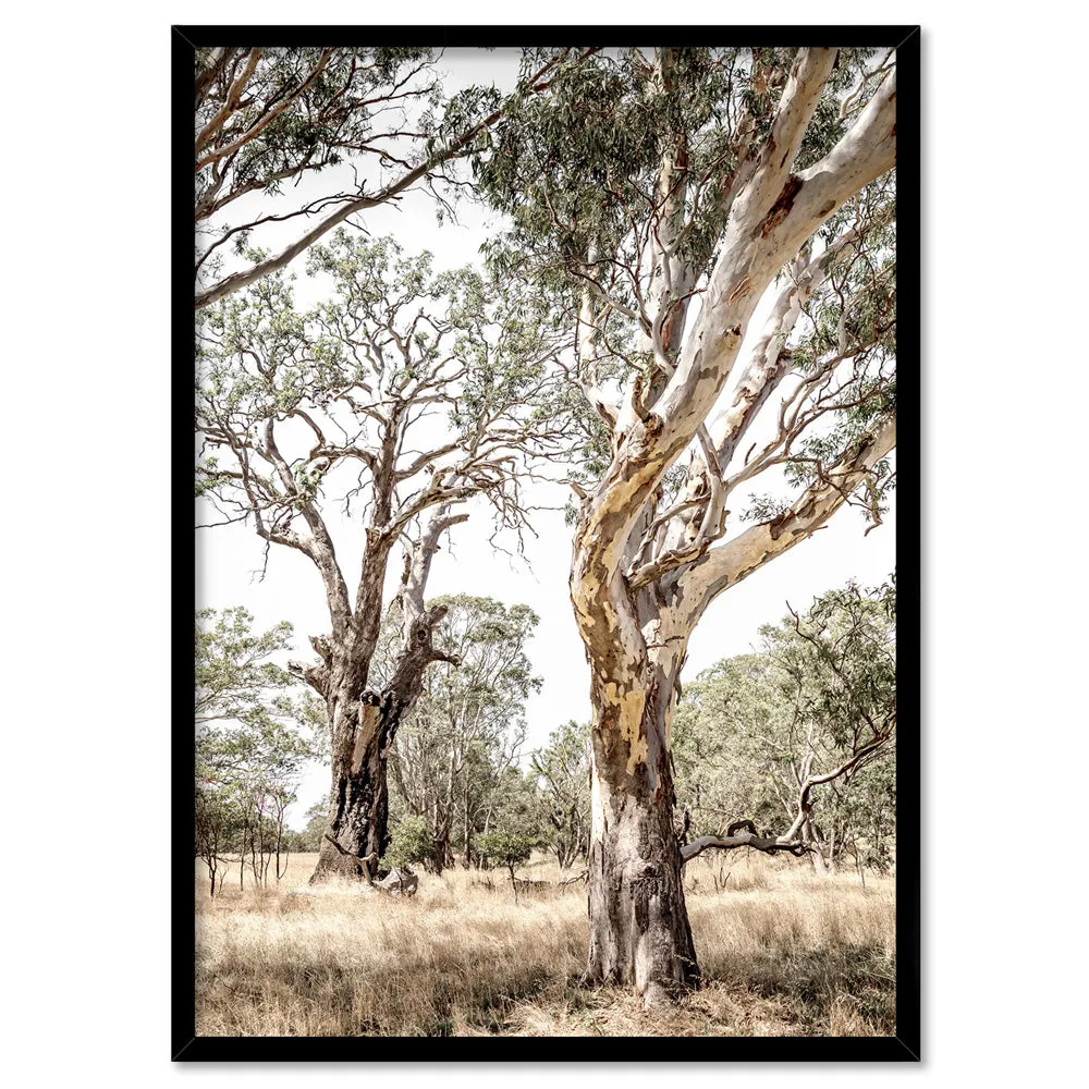 Among the Gumtrees III - Art Print