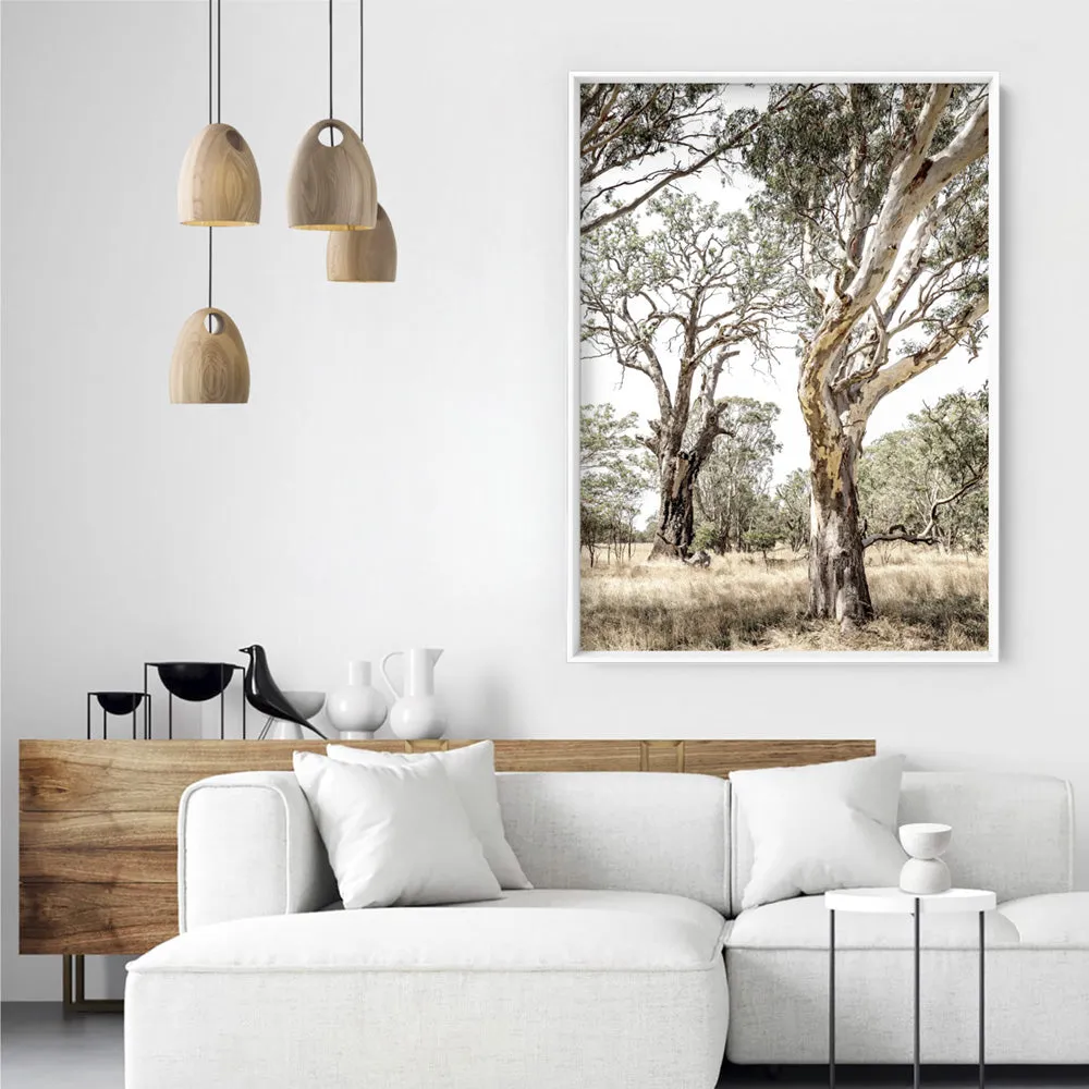 Among the Gumtrees III - Art Print