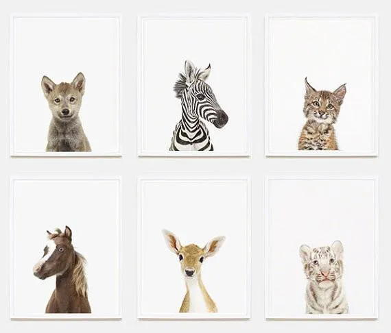 Baby Zebra Little Darling Print