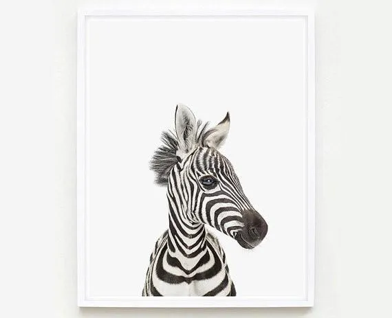 Baby Zebra Little Darling Print