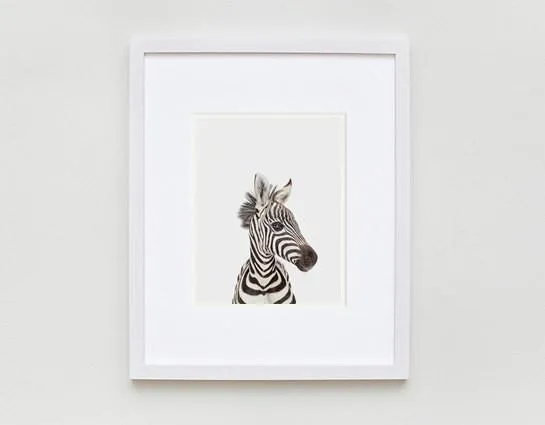 Baby Zebra Little Darling Print