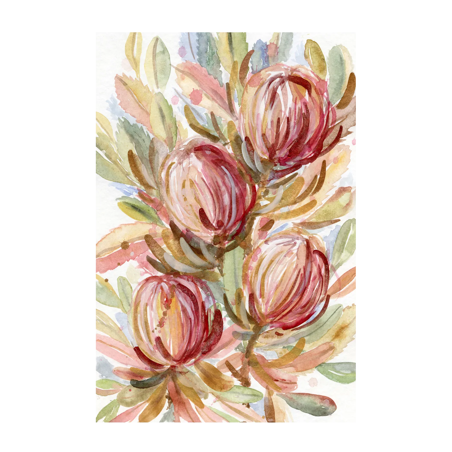 Banksia Bunch , By Jessie Mitchelson