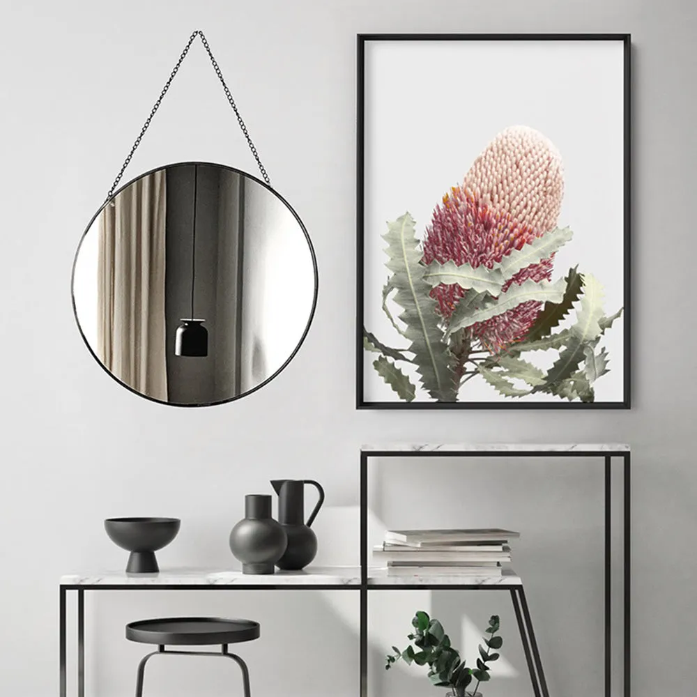 Blushing Banksia Flower - Art Print