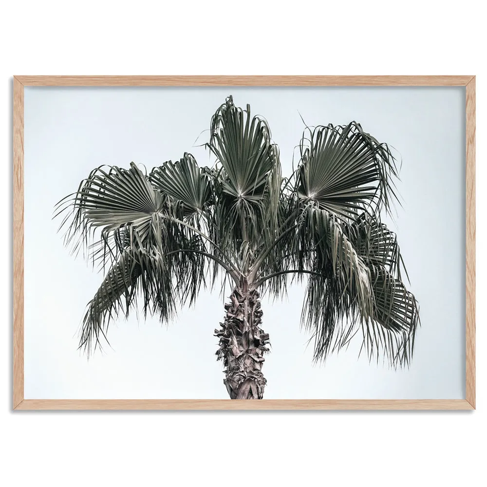California Coastal Palm Tree Landscape - Art Print