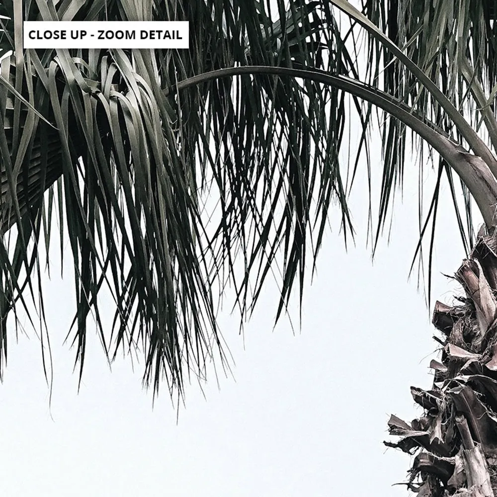 California Coastal Palm Tree Landscape - Art Print