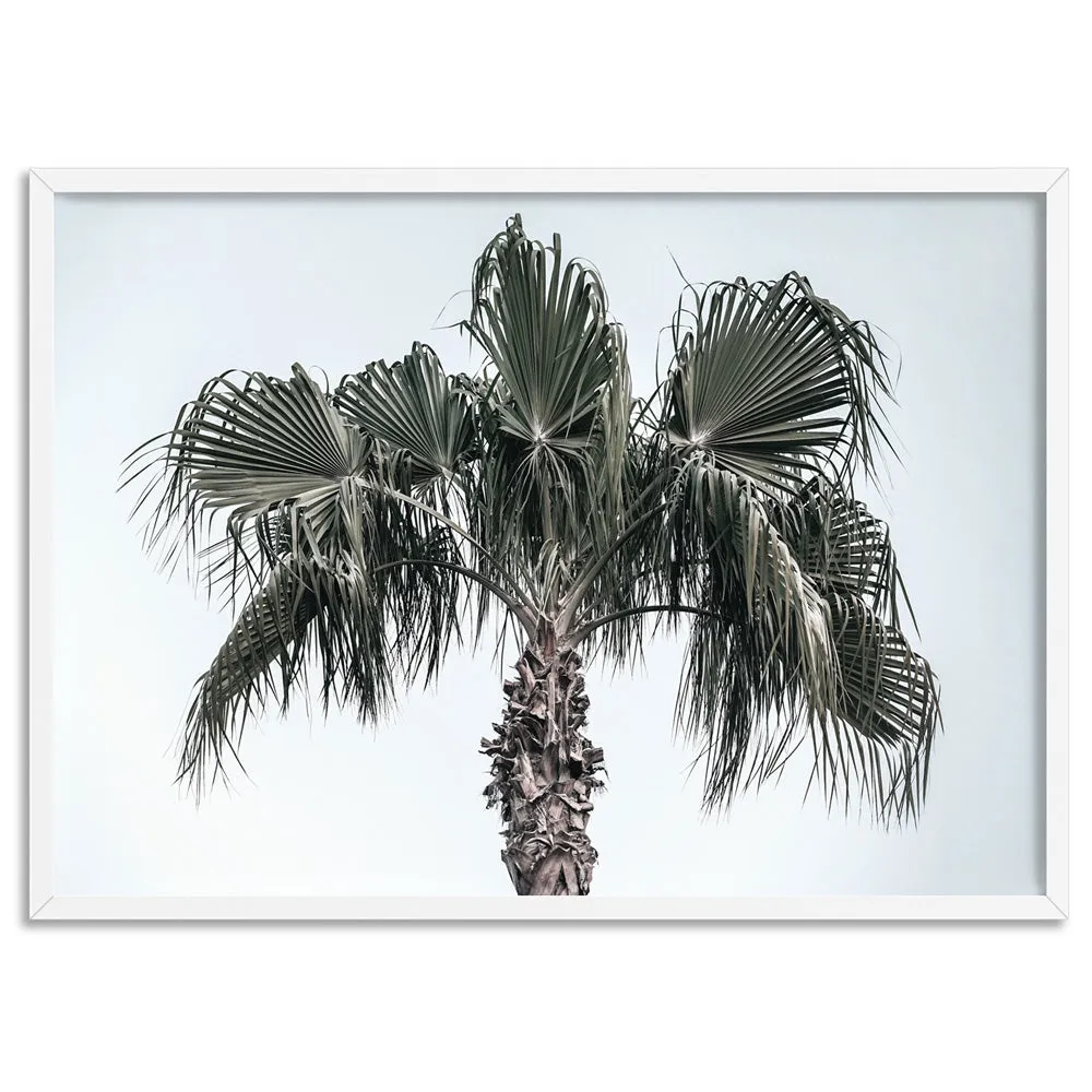 California Coastal Palm Tree Landscape - Art Print