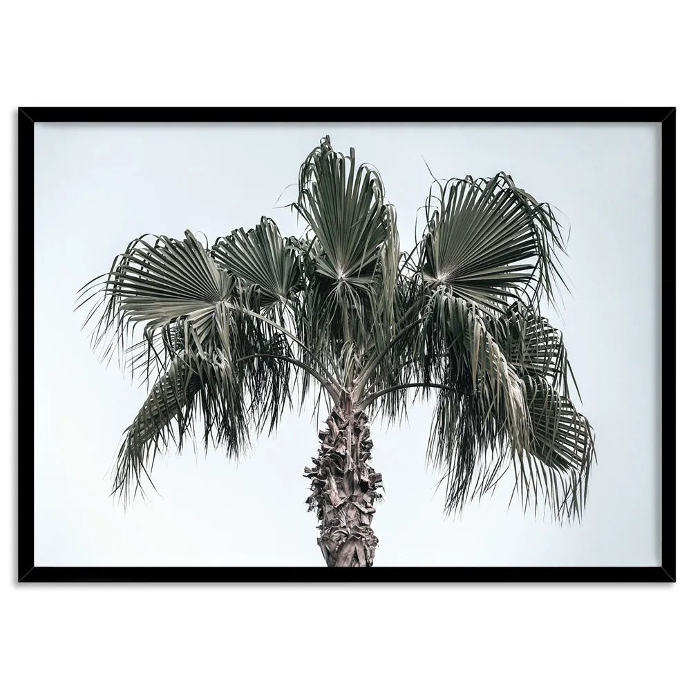 California Coastal Palm Tree Landscape - Art Print