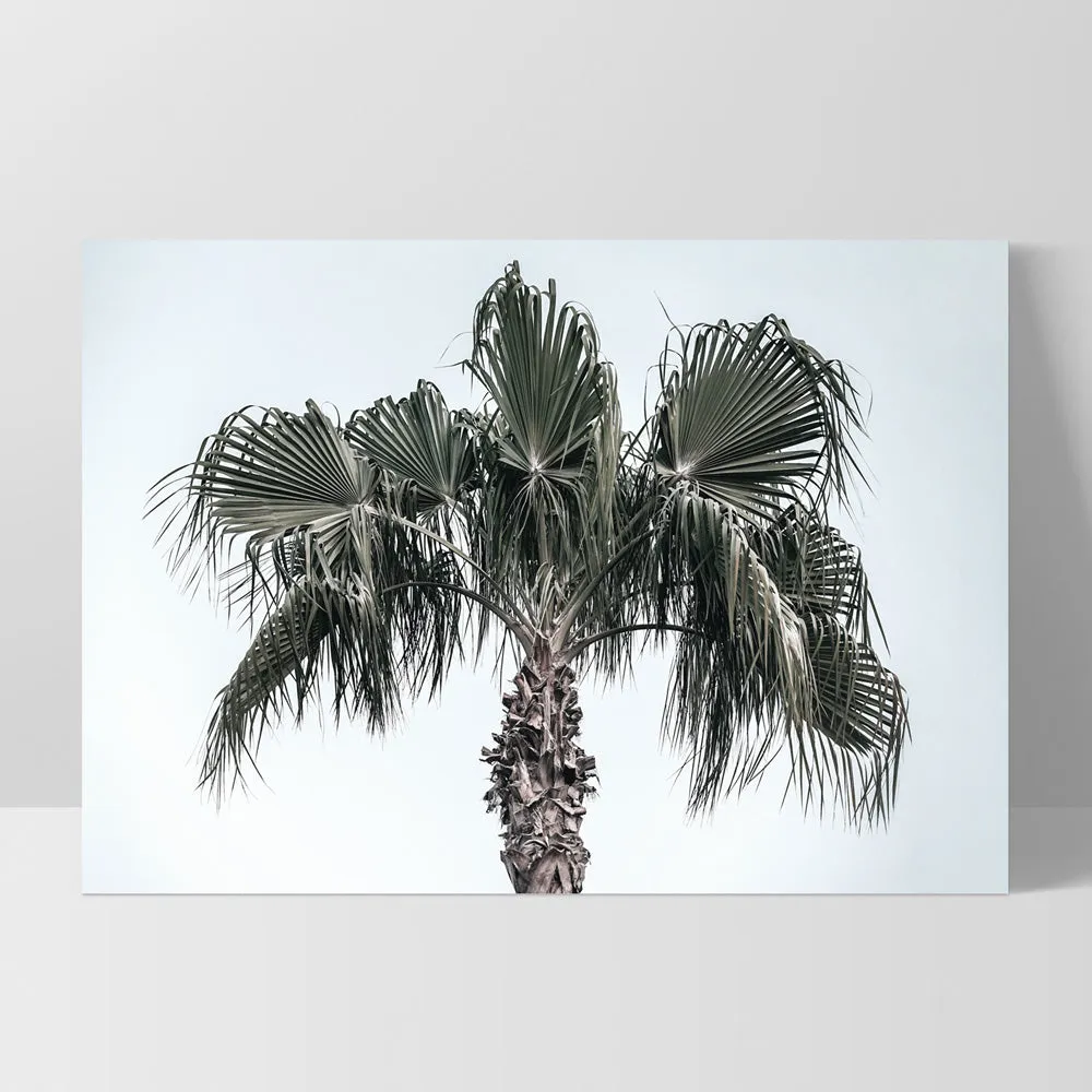 California Coastal Palm Tree Landscape - Art Print