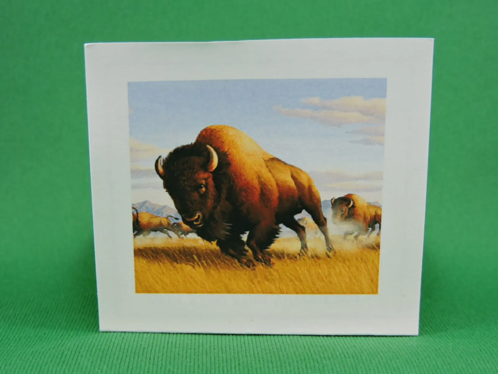 Currency - Silver Coin - $100 - 2013 - RCM - Bison Stampede