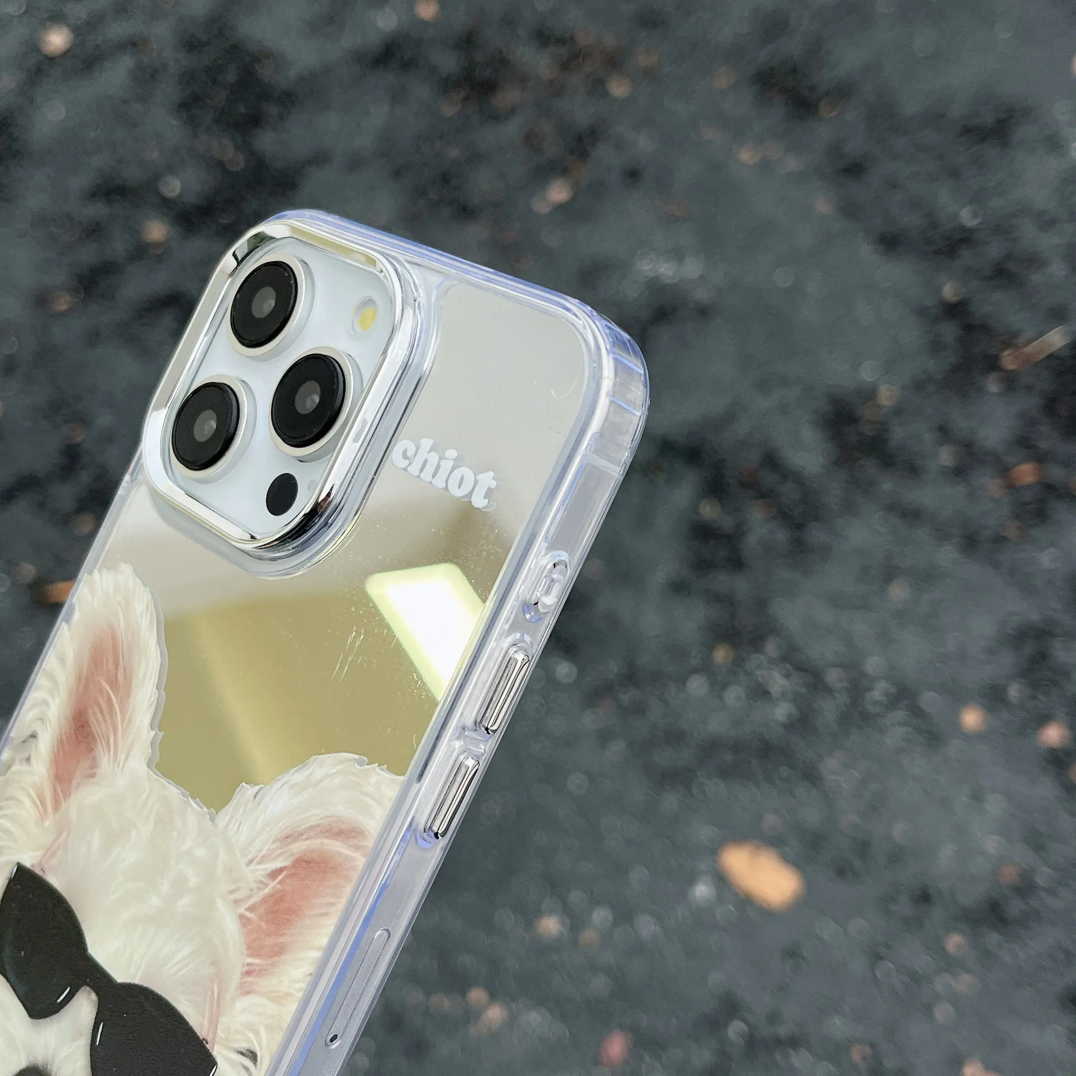 Cute Puppy Taking Selfie Mirror Case for iPhone