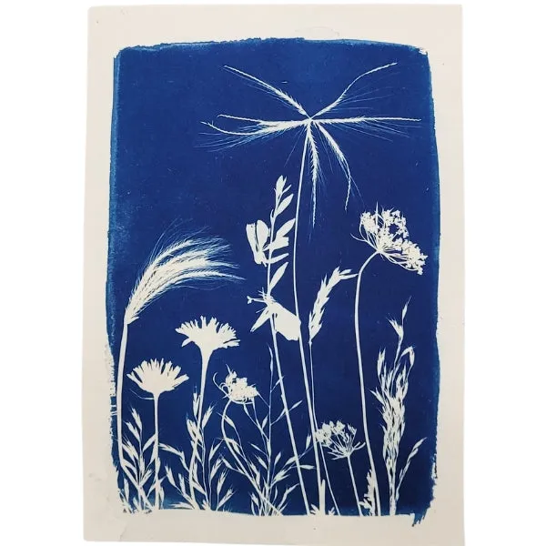 Cyanotype Art Print - Meadow (5" x 7")