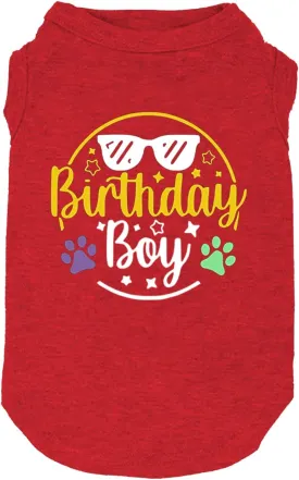Dog Birthday Gift Clothes Boy Girl Birthday Shirt for Small Large Dog Brithday Vest for Doggy Puppy Clothes (1, 2, Small, Red21)