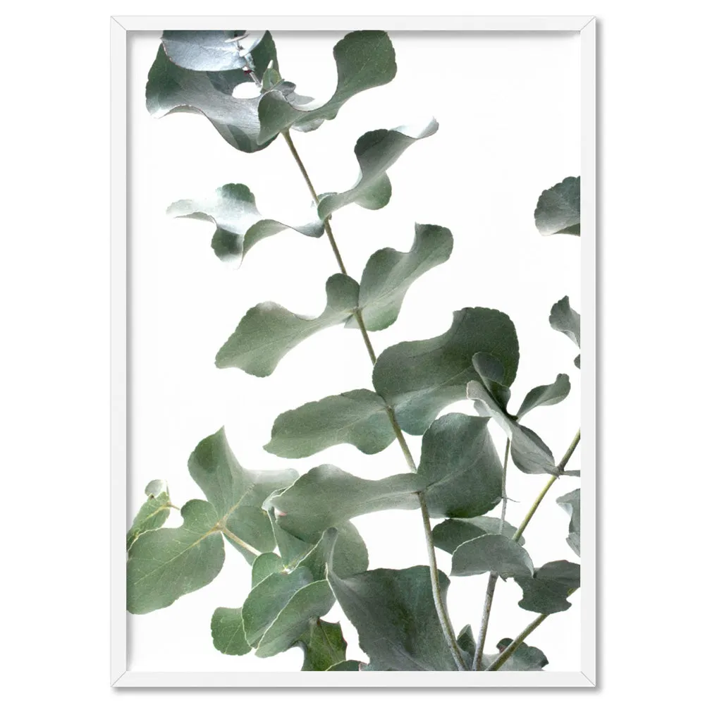 Eucalyptus Gum Leaves II  - Art Print