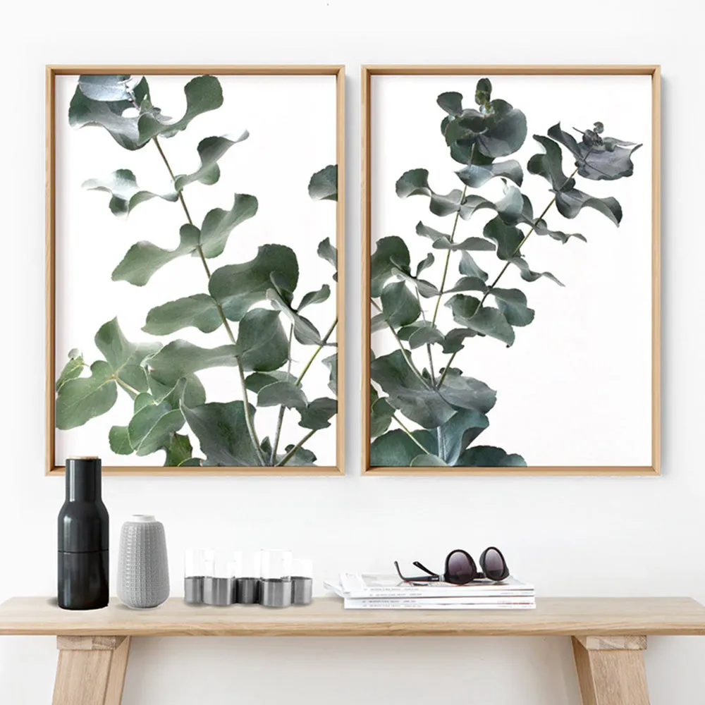 Eucalyptus Gum Leaves II  - Art Print