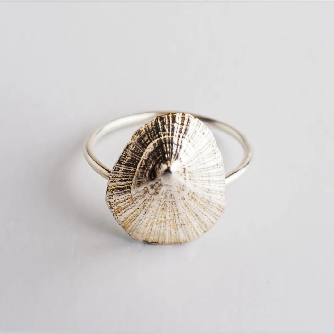 Favourite limpet - ring - silver 925