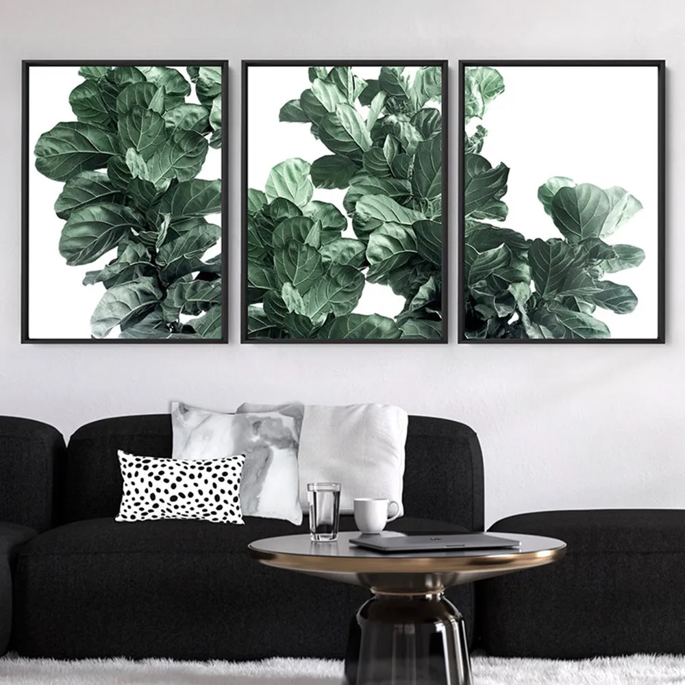 Fiddle Leaf Fig Watercolour I - Art Print