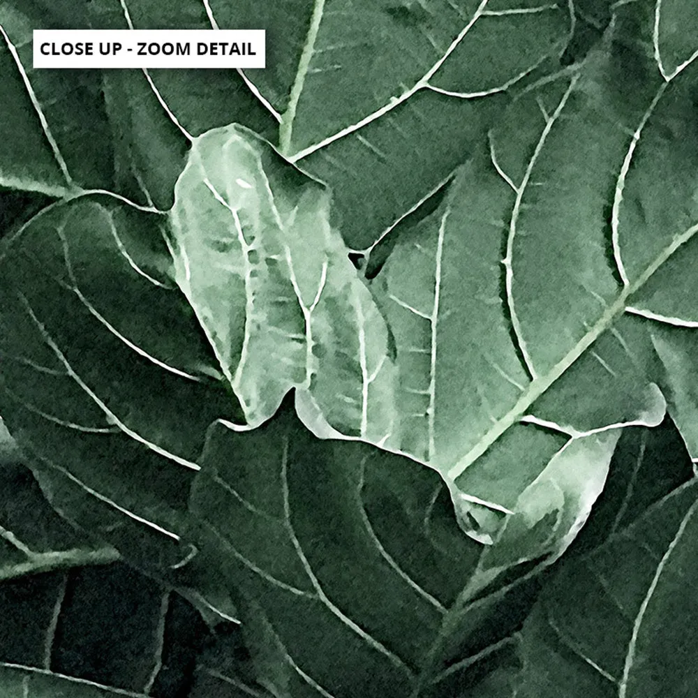 Fiddle Leaf Fig Watercolour I - Art Print