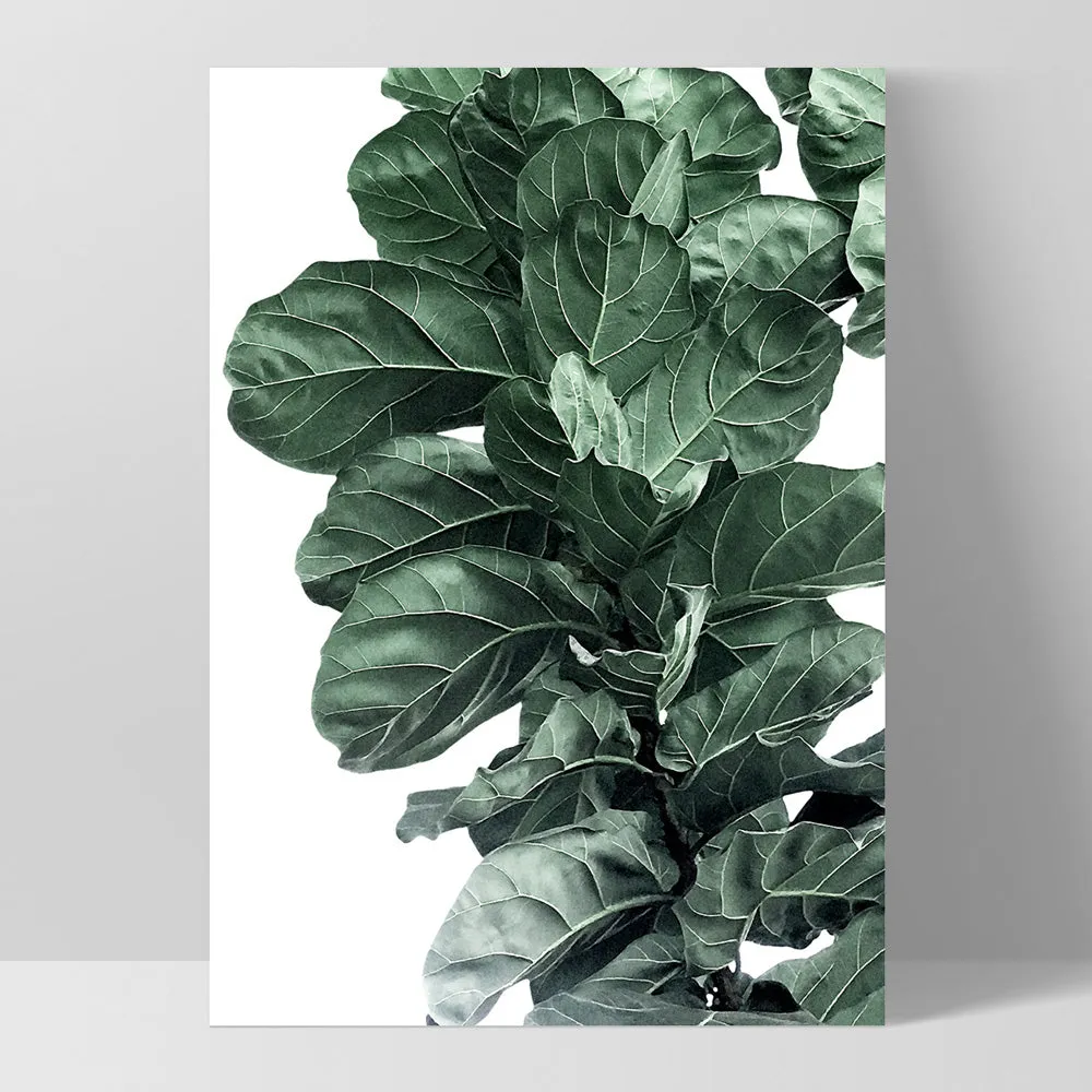 Fiddle Leaf Fig Watercolour I - Art Print
