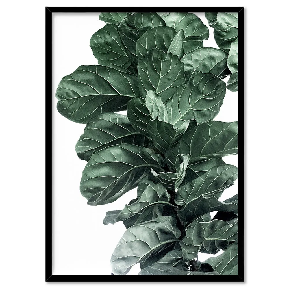 Fiddle Leaf Fig Watercolour I - Art Print