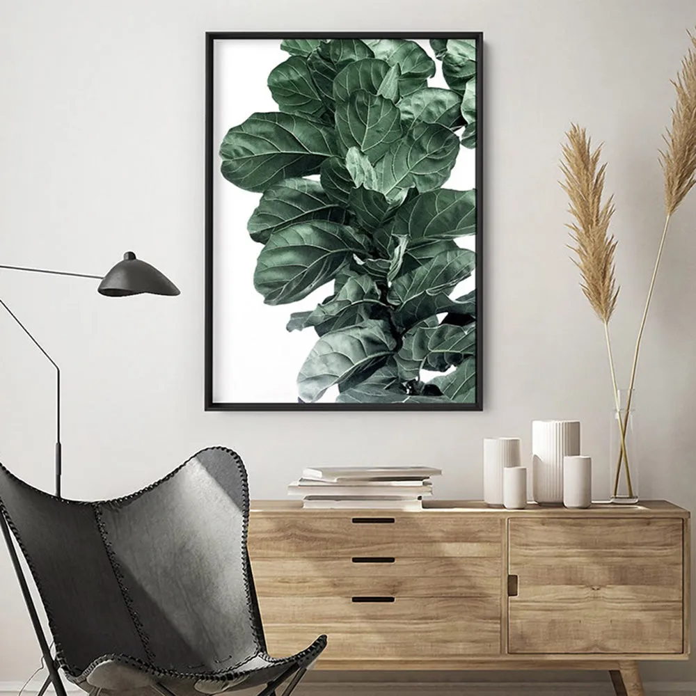 Fiddle Leaf Fig Watercolour I - Art Print