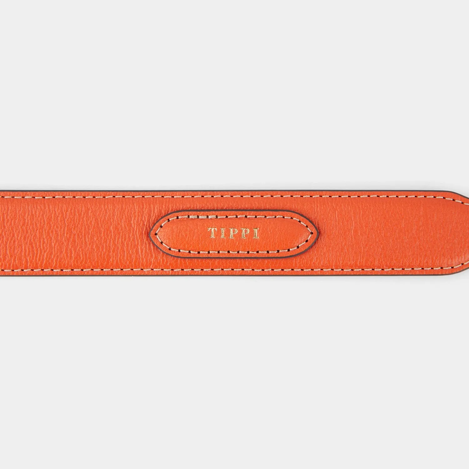 Large Dog Collar