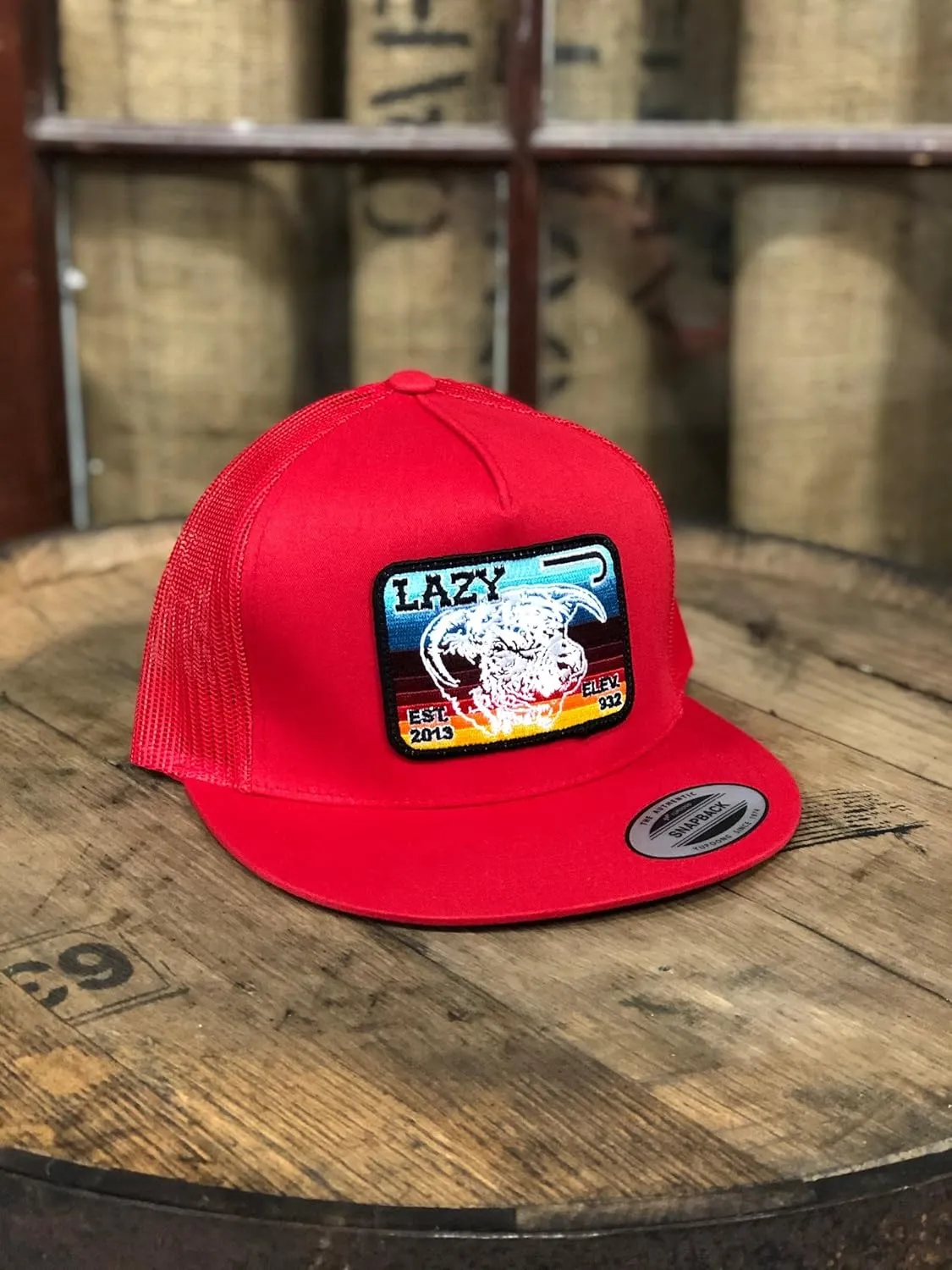 Lazy J Ranch Wear Serape Elevation Cap