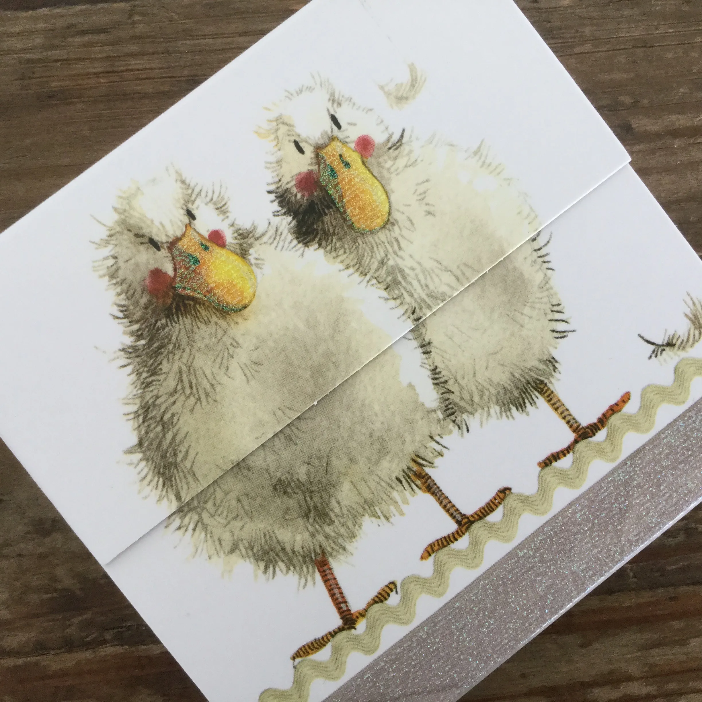 MM02 Duck Duo Mini Magnetic Notepads By Alex Clark Art