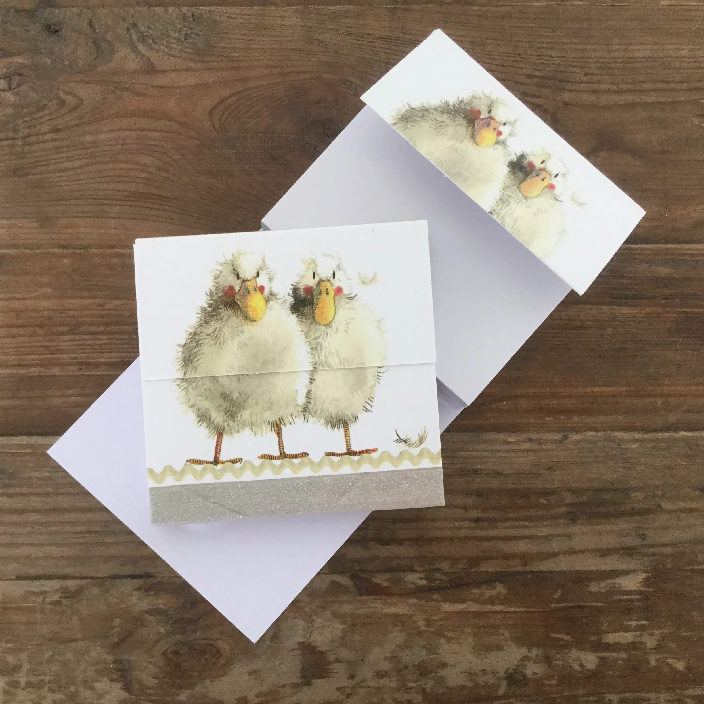 MM02 Duck Duo Mini Magnetic Notepads By Alex Clark Art