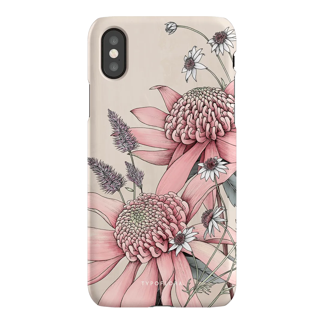Pink Waratah