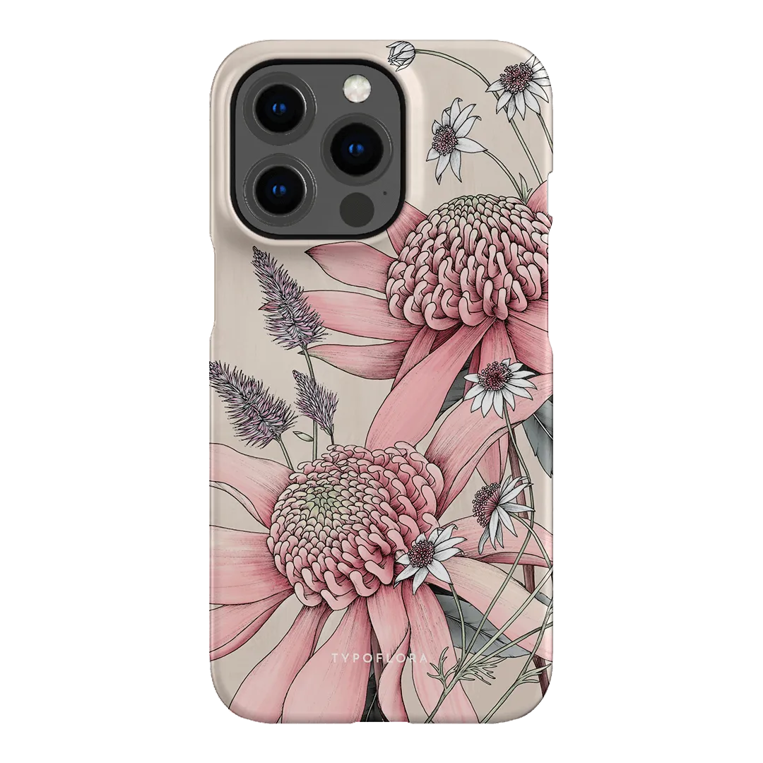 Pink Waratah