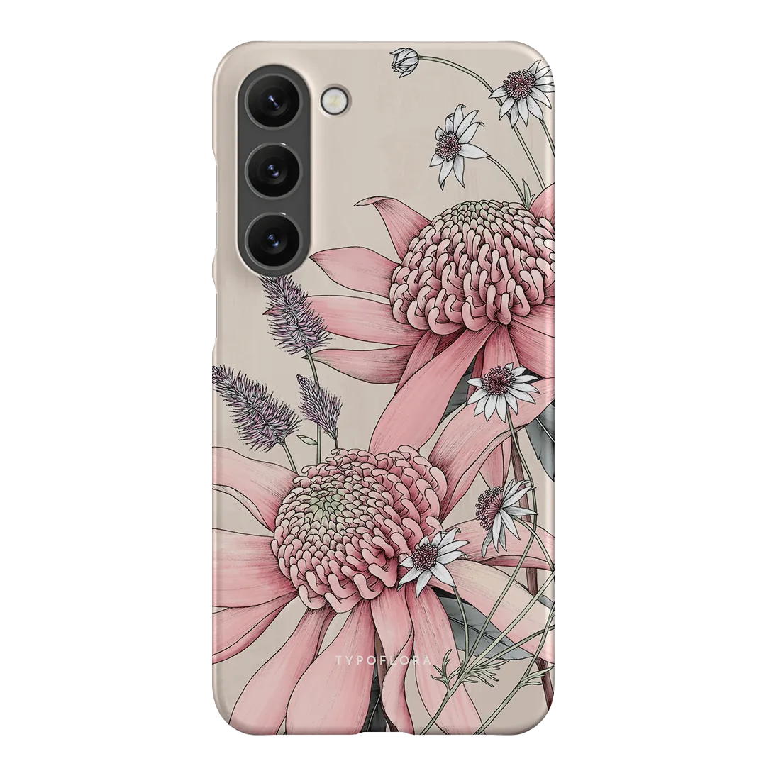Pink Waratah