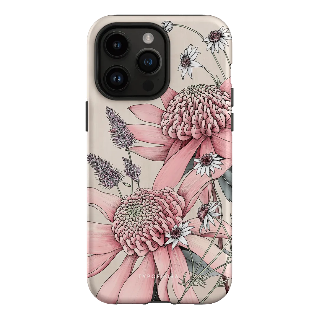 Pink Waratah