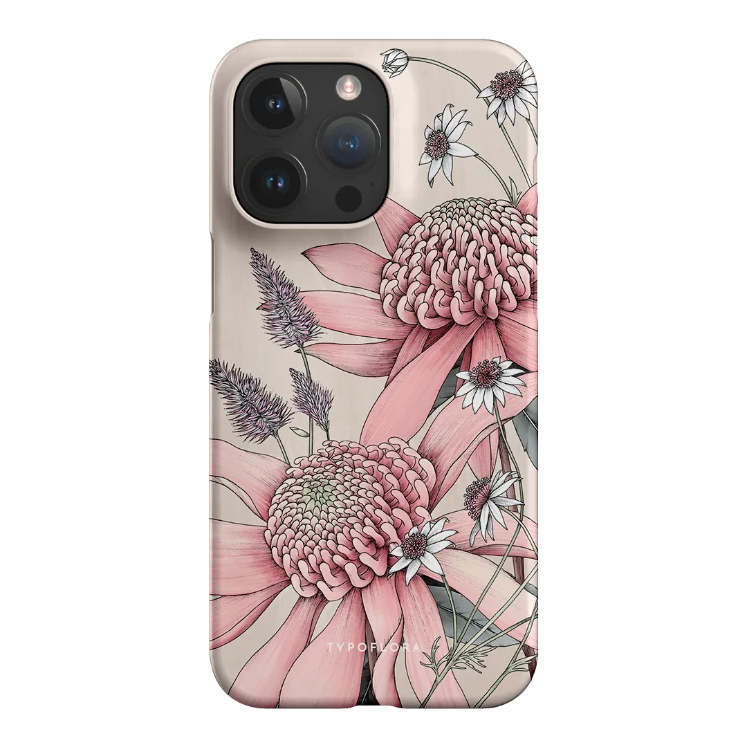 Pink Waratah