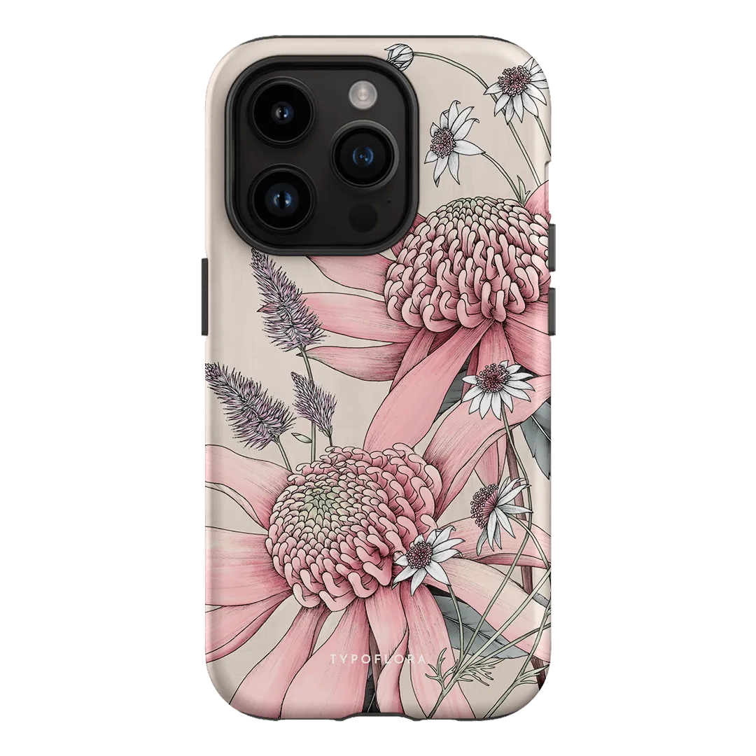 Pink Waratah