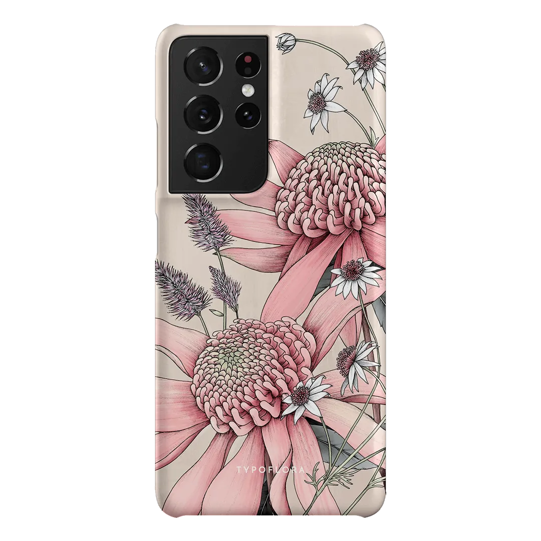 Pink Waratah