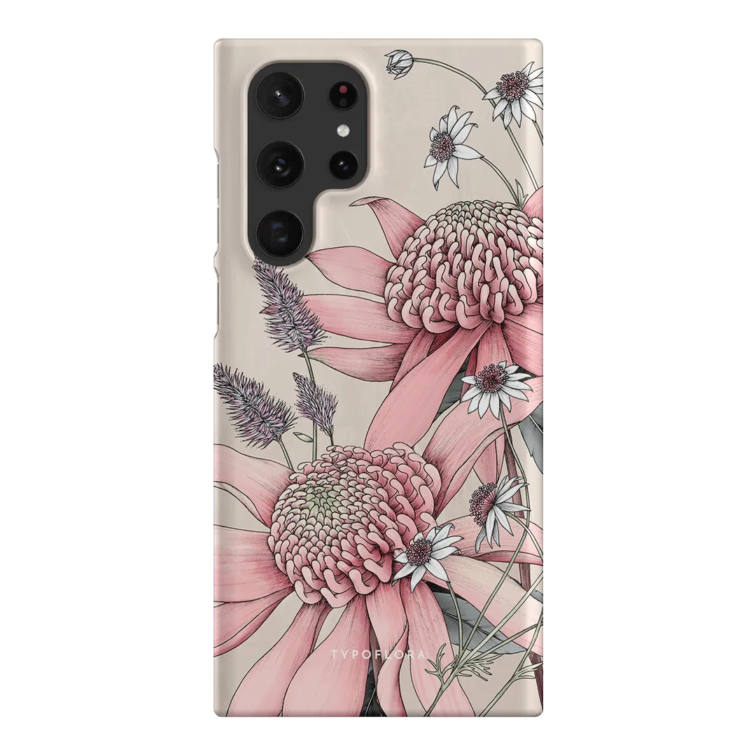Pink Waratah