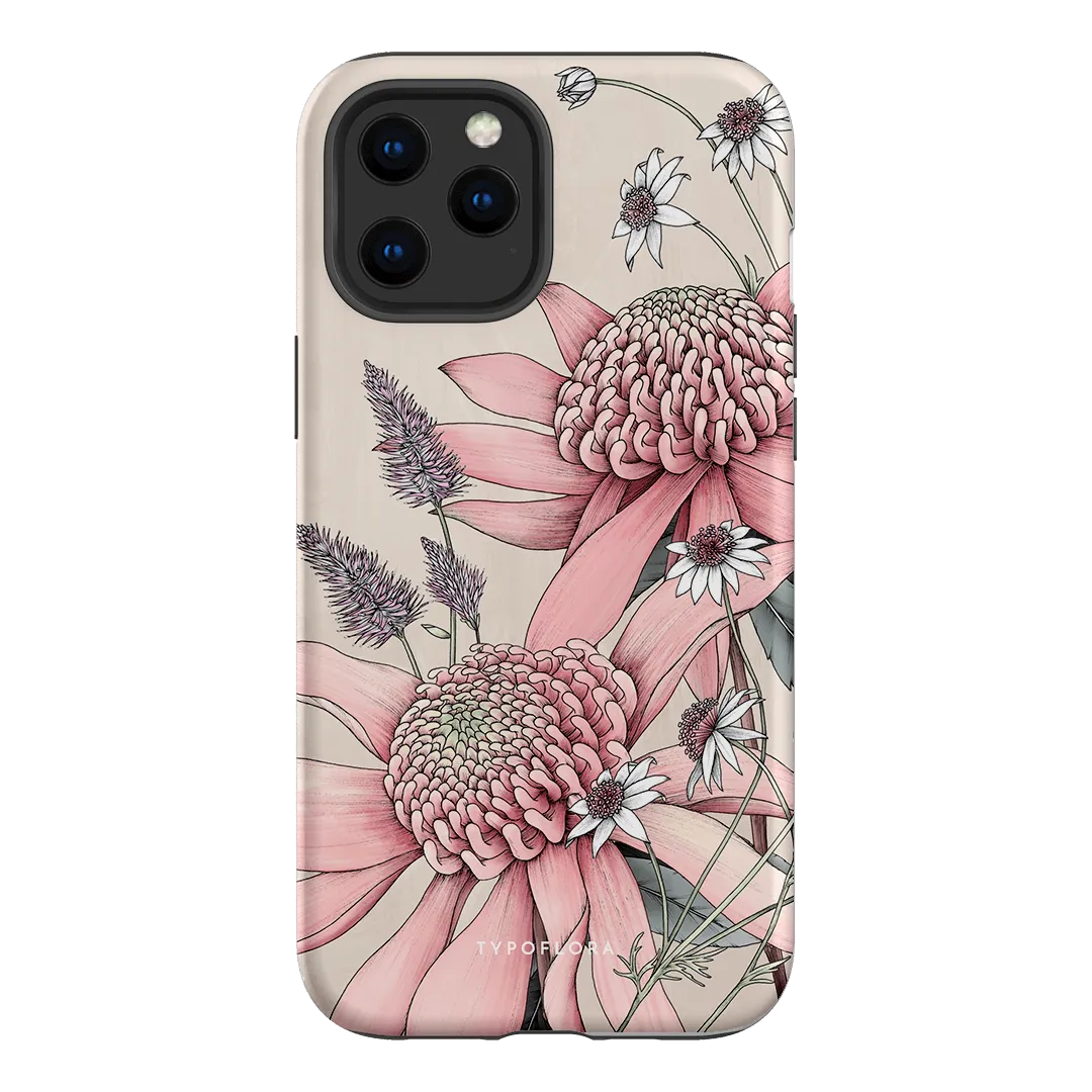Pink Waratah