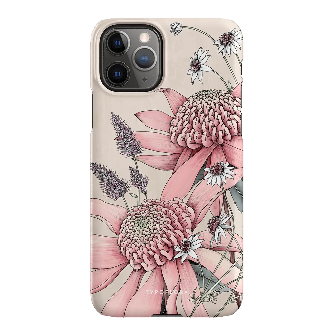 Pink Waratah