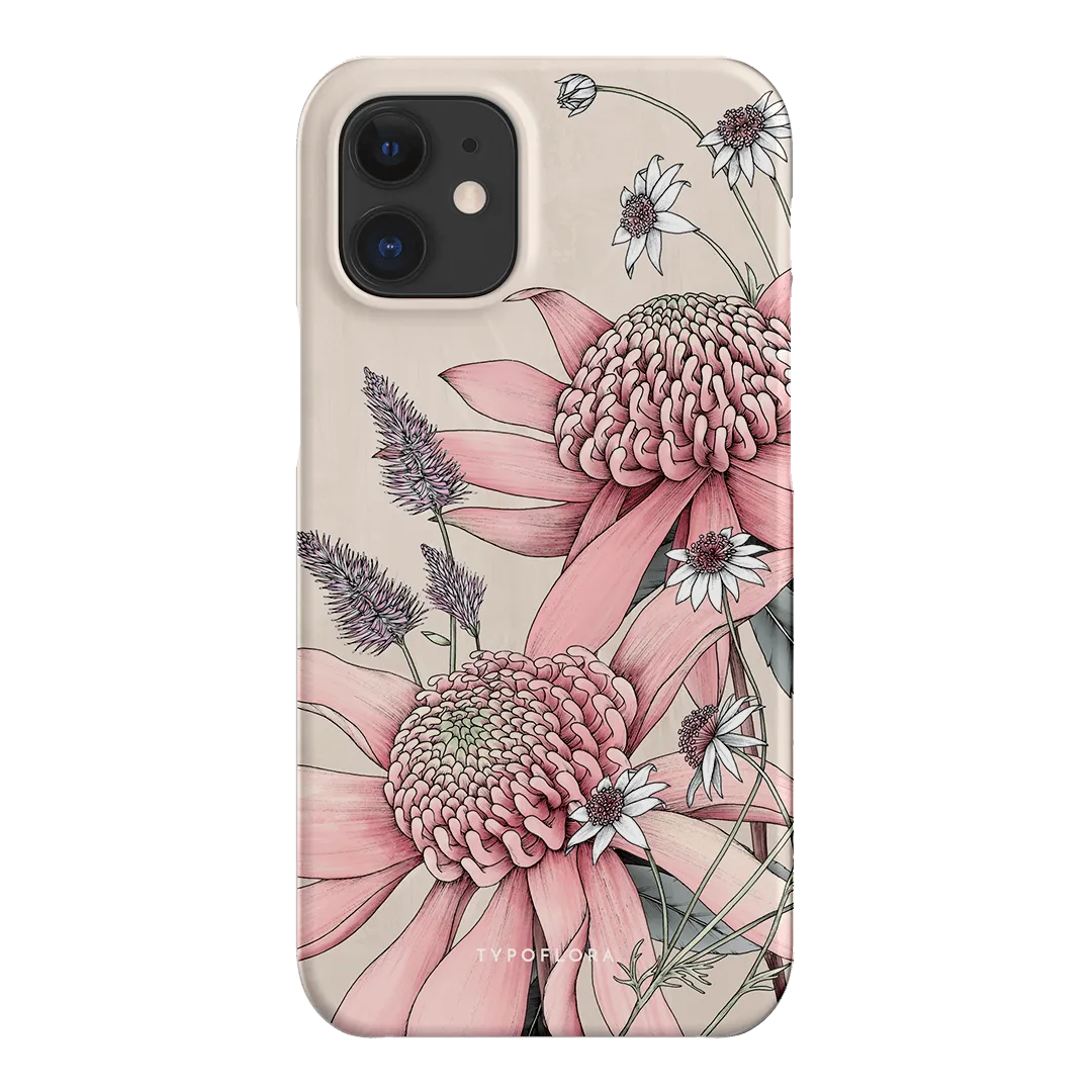 Pink Waratah