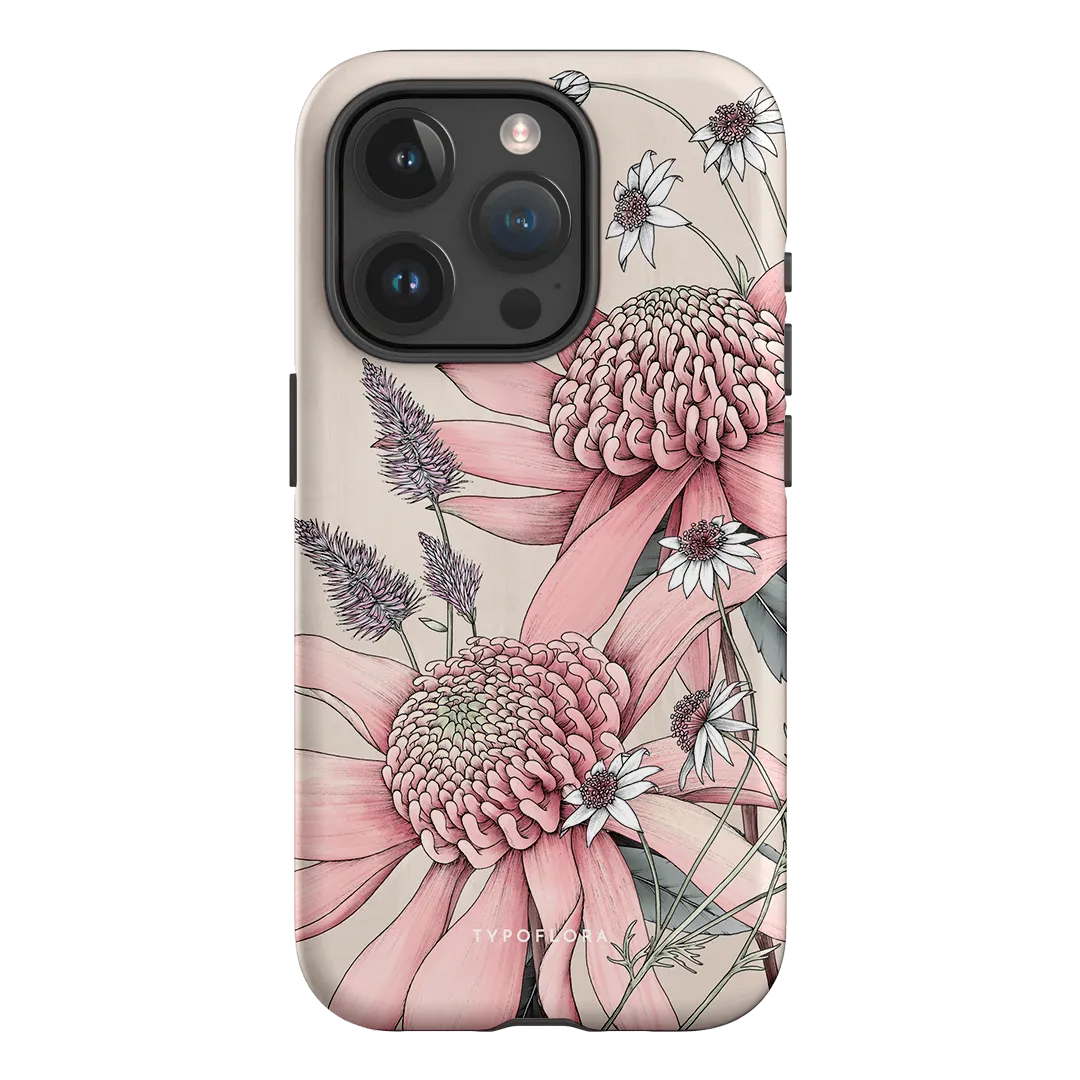 Pink Waratah
