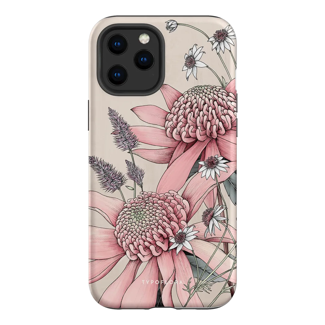 Pink Waratah