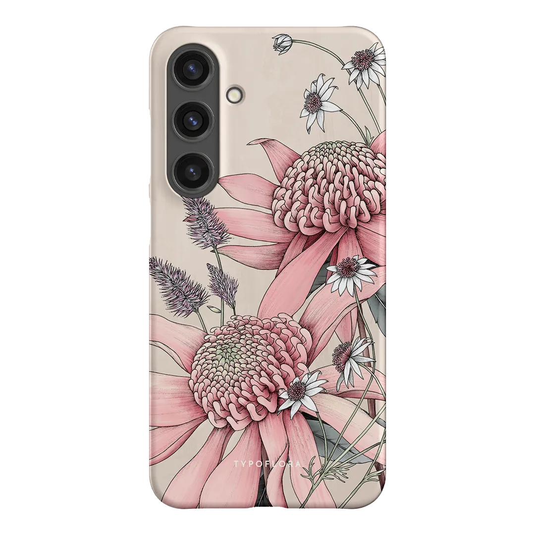 Pink Waratah