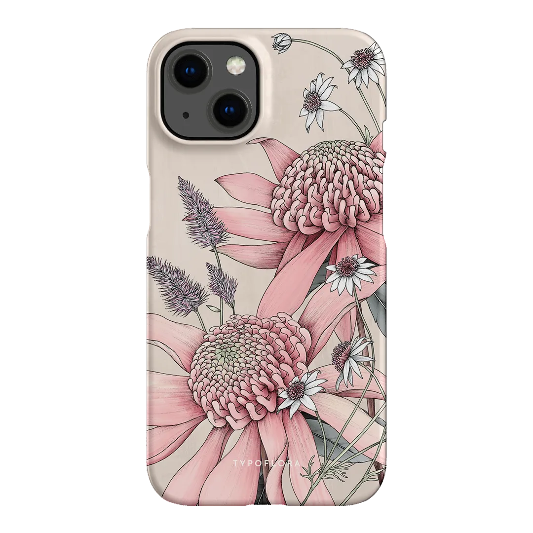Pink Waratah